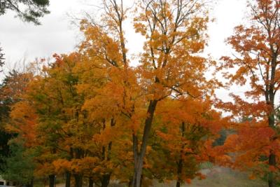 CRW_2256.jpg