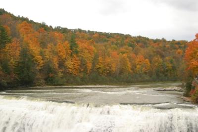 CRW_2262.jpg