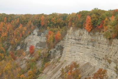 CRW_2323.jpg