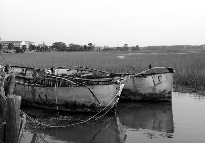 Rusted Boats