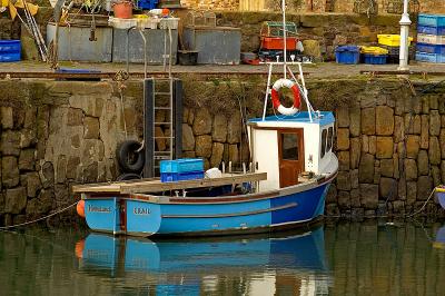 Homeland at Crail Harbour.