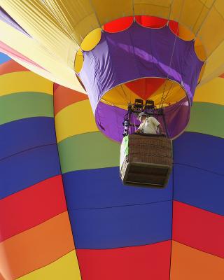 Balloon Basket