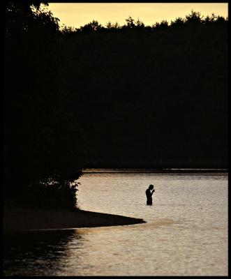 Wader