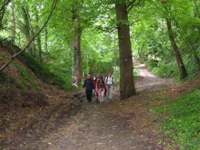 u34/hanswortel/medium/31307108.2004_071153Prachtigenatuur.jpg