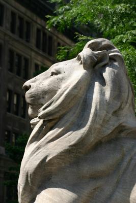 Fifth Avenue Lion Head Profile