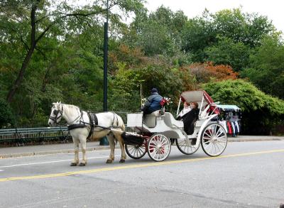 Carriage Ride at  CPW 70s Entrance