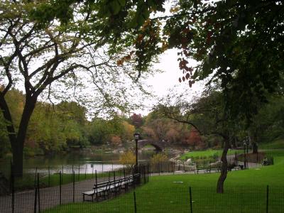 Central Park South  Pond  View