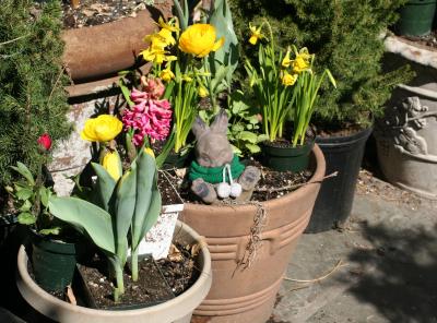 W 10th Street Garden Flowers with Easter Bunny