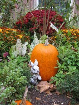 Peter Rabbit Garden in the Fall