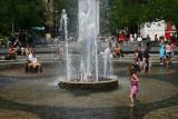 Dog Days at Washington Square Fountain
