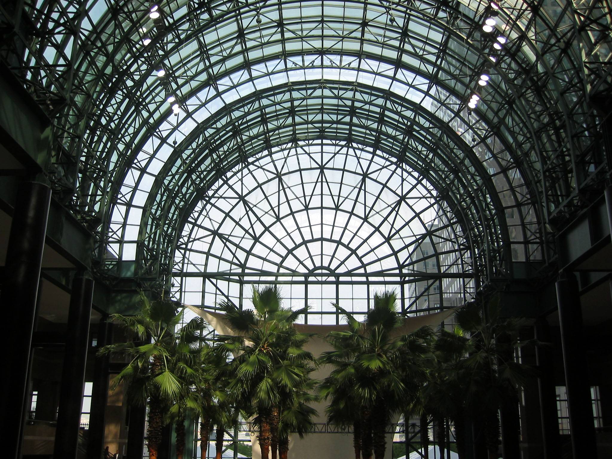 Winter Garden Interior Roof View