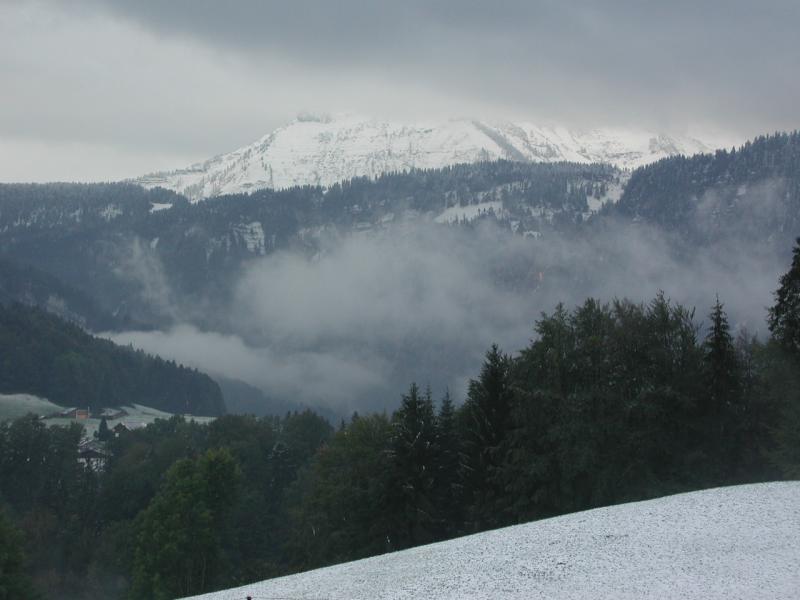 Spaziergang durch Schnee