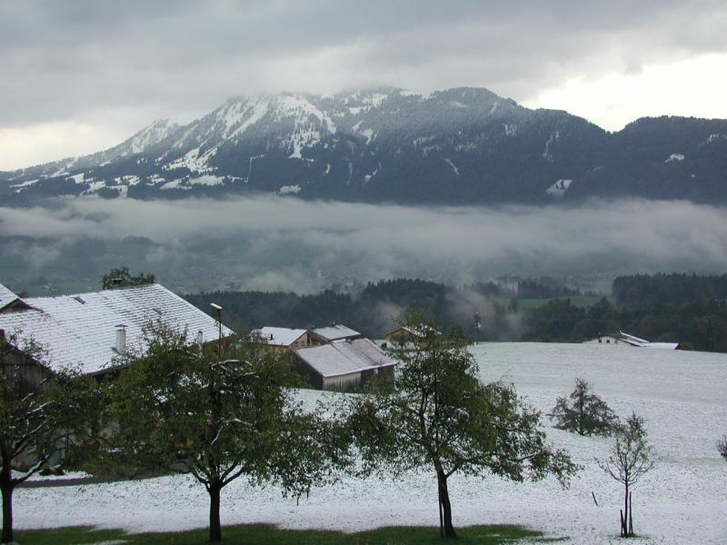 Spaziergang durch Schnee