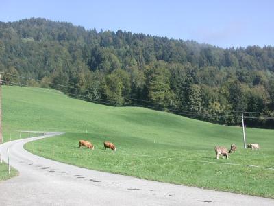 Unterkunft und Umgebung