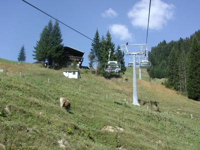 Mit Sesselbahn auf die Damhls-Alpe