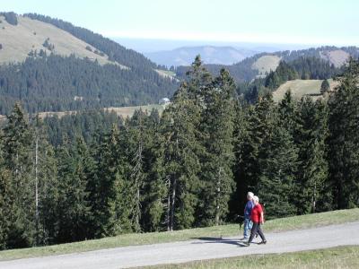 07. Tag // Dienstag, 30. September // Wanderung beim Hderich durchs Lechtal