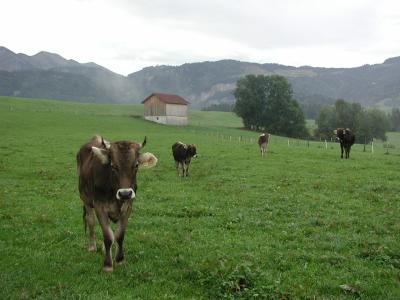 P1010162.jpg