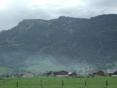 P1010164.jpg