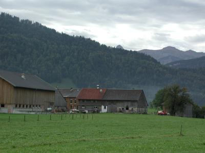 P1010165.jpg