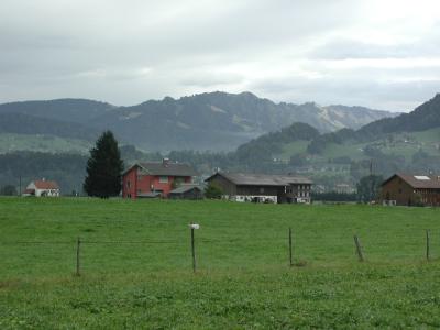 P1010167.jpg