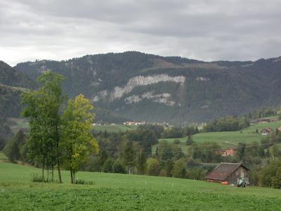 P1010168.jpg
