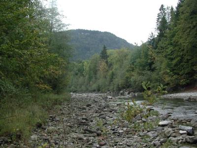 09. Tag // Donnerstag, 02. Oktober // Groe Wanderung von Egg nach Schneider ber Stausee