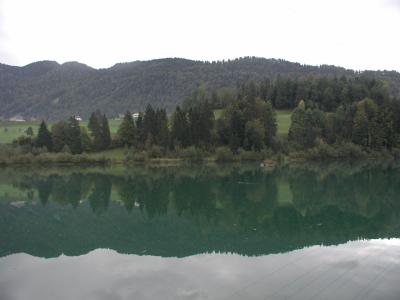 P1010173.jpg