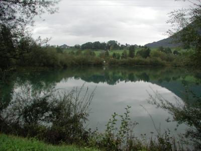 P1010174.jpg