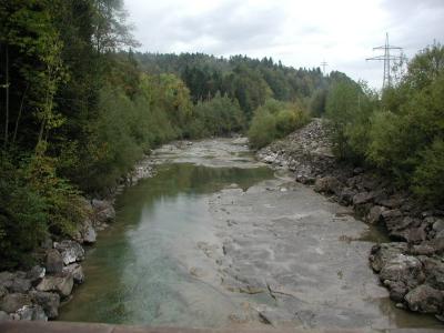 P1010177.jpg