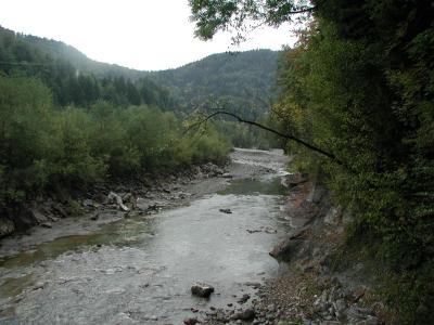 P1010178.jpg