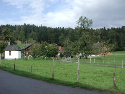 P1010182.jpg