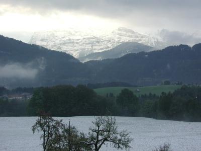 u34/holgi/medium/22671566.P1010216.jpg