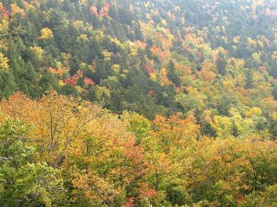 Autumn White Mountains