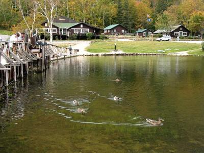 Willey family lake White Mountains