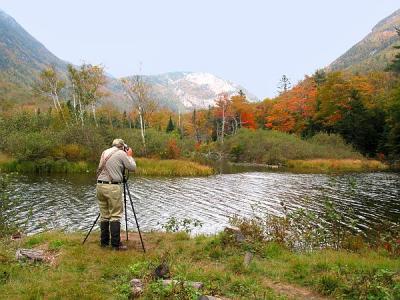 Willey family lake White Mountains