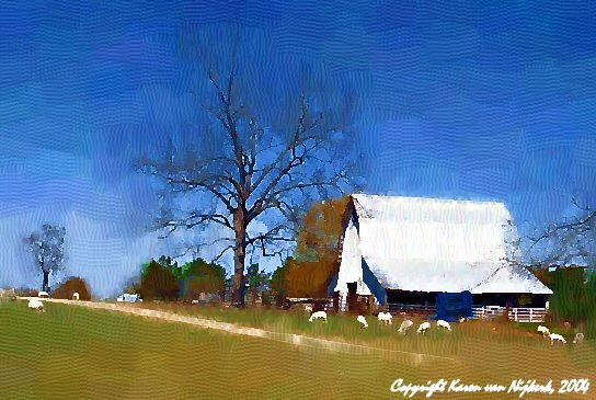 Alabaman Barn in Spring