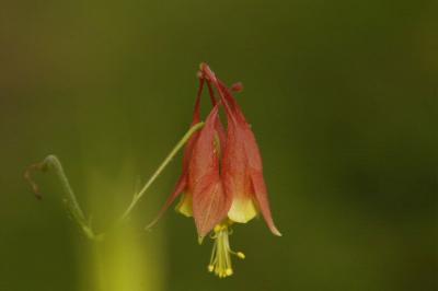 DSC_4301.jpg