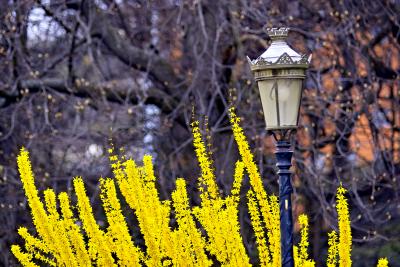 u34/ianvermeer/medium/41361301.IMG01715.jpg