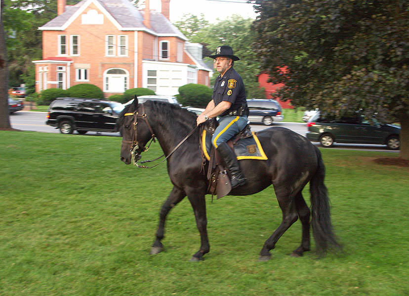 Equestrian police