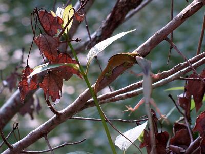 P3260299sm.jpg