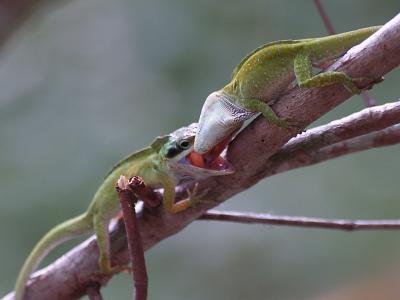 P3260305sm.jpg