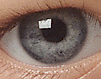 PDI-Target - Eye.jpg