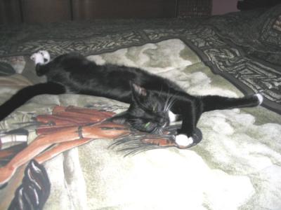 Kumbasleepy.JPG