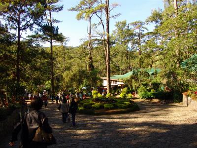 u34/jaizel/medium/41391868.BotanicalGardens.jpg