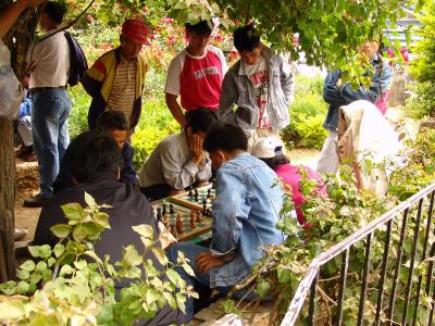 Chess at the Park