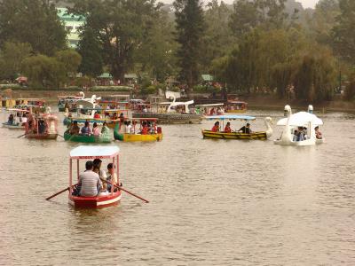 u34/jaizel/medium/41391890.RowyourBoat.jpg