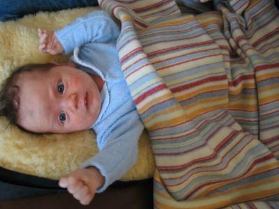 u34/james_darwin/medium/41353628.IMG_3828_5_1.jpg