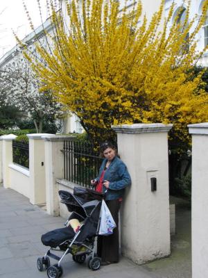 u34/james_darwin/medium/41353633.IMG_3857_10_1.jpg