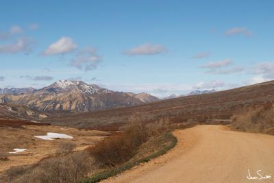 Denali Landscape