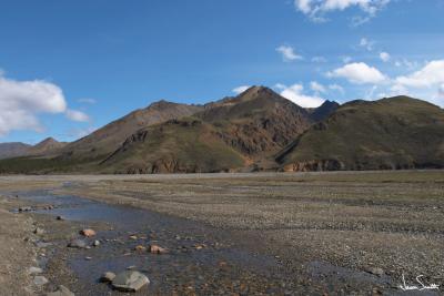 Denali Landscape